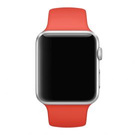 Apple Watch 42mm Sliver Orange Sport Band (C42)