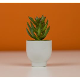 Artificial Bonsai Tree Plant For Office - Home Decoration in BD at BDSHOP.COM