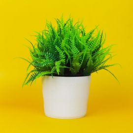 Artificial Plant Trees with Plastic Pot in BD at BDSHOP.COM